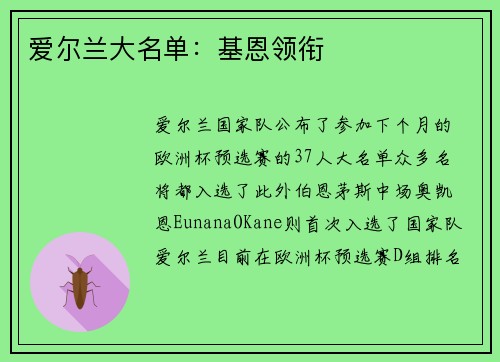 爱尔兰大名单：基恩领衔
